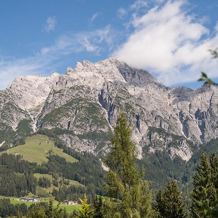 Chalet Steinberg Leogang Buitenkant foto