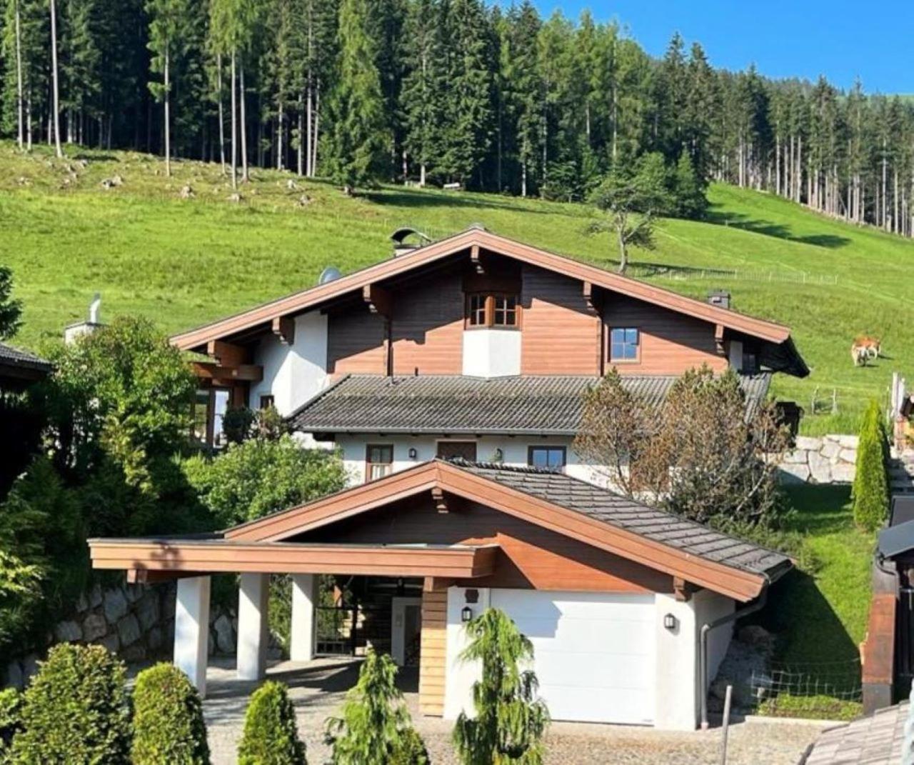 Chalet Steinberg Leogang Buitenkant foto